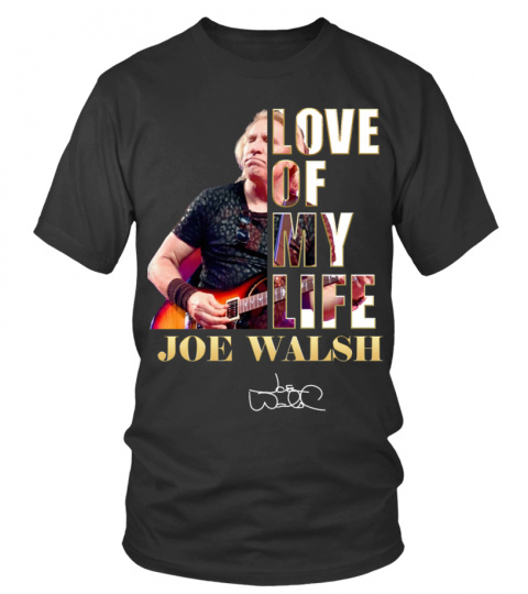 LOVE OF MY LIFE - JOE WALSH