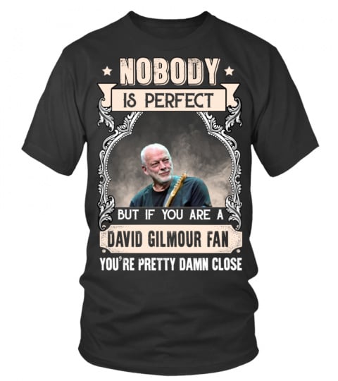 NOBODY IS PERFECT BUT IF YOU ARE A DAVID GILMOUR FAN YOU'RE PRETTY DAMN CLOSE