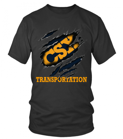 CSX TRANSPORTATION