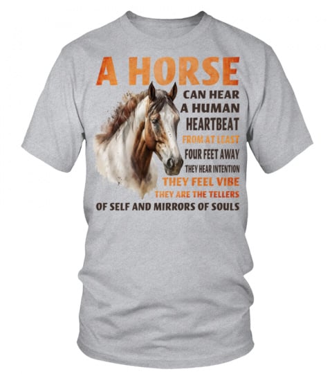 Horse-can hear a human V1