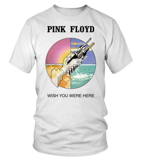 Pink Floyd WT (37)