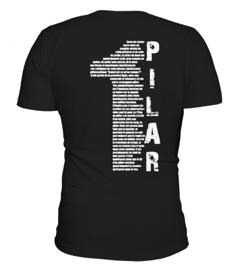 N°1 Pilier ou pilar