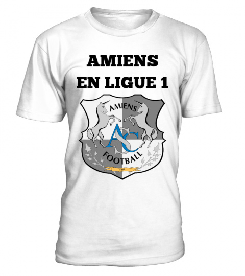 Amiens en ligue 1