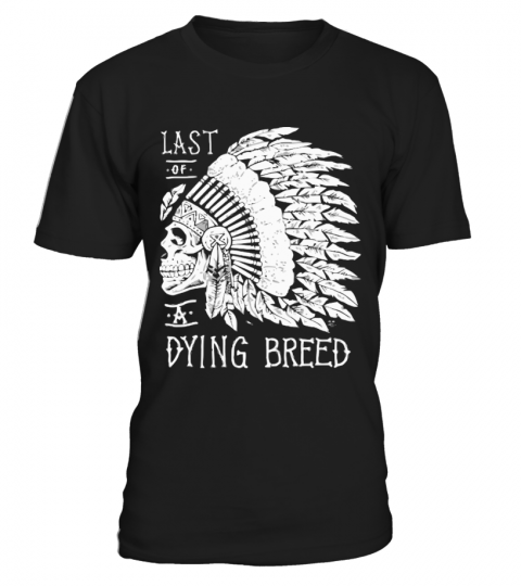Proud native american T-Shirt