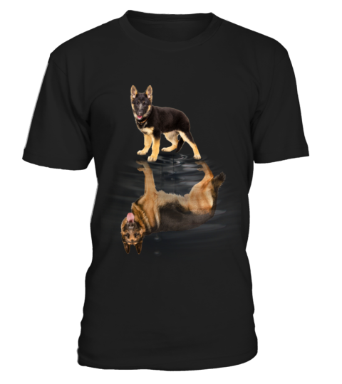 German shepherd9