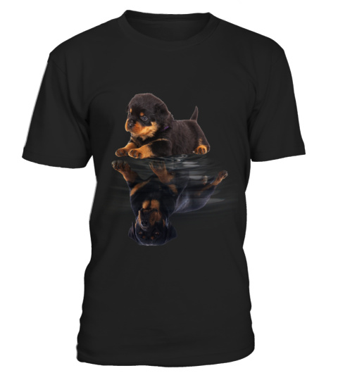 Rottweiler0