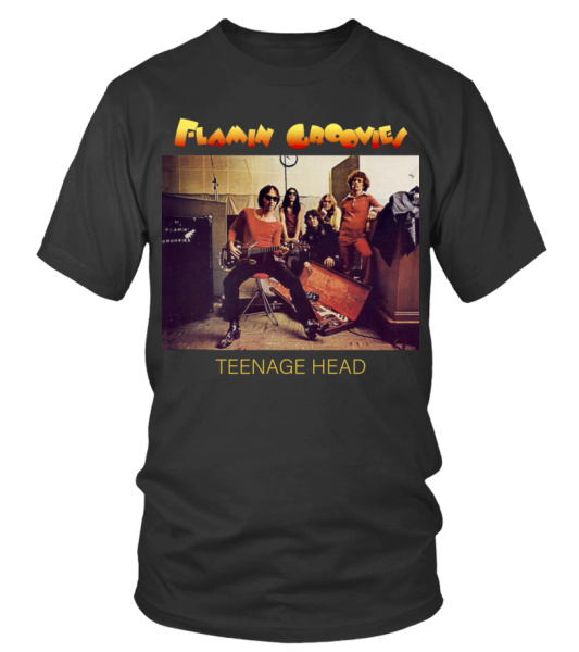 GRR BK. The Flamin Groovies Teenage Head 1971 T shirt Teezily