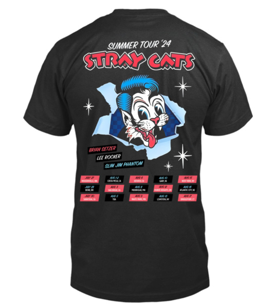 2-side-stray-cats-summer-tour-